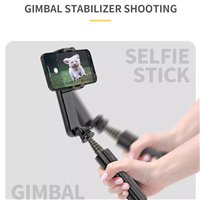 Techsuit - Selfie Stick (L09) - Télécommande Bluetooth, support pour trépied et stabilisateur de cardan - Noir
